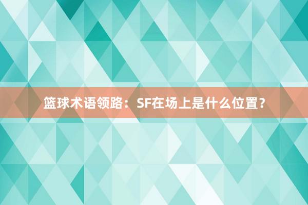 篮球术语领路：SF在场上是什么位置？